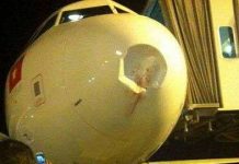 Lý giải khoa học cho trường hợp chim va chạm với máy bay gây thiệt hại nặng