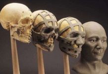 Nếu hộp sọ nguyên mẫu Mona Lisa biết cười