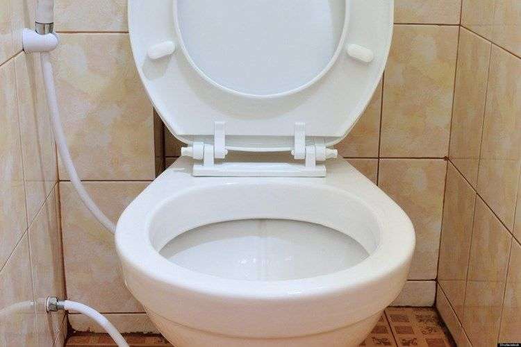Tìm hiểu những sự thật giật mình về toilet khiến ai cũng bất ngờ