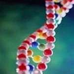 Bản đồ gen người: kỳ vọng và thực tế