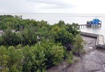 Đồng bằng sông Cửu Long nguy cơ ngập chìm dưới biển