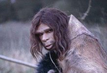 Dân châu Á là họ hàng của người tuyệt chủng