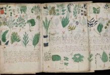 Bí ẩn cuốn sách Voynich