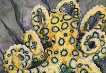 8 kẻ thù đáng sợ con người nên tránh xa