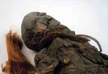 Vẻ đẹp "không tì vết" của những xác ướp đầm lầy