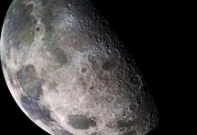 Trung Quốc muốn trồng rau trên mặt trăng