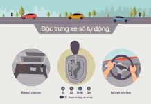 Kỹ năng lái xe số tự động an toàn cho người Việt