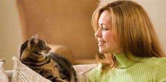 Giải mã: Những điều chưa ai biết về loài mèo