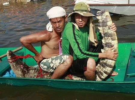 Hãi hùng cảnh cá sấu sổng chuồng trong lũ ở Thái Lan