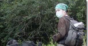 Virus của con người đe doạ các loài linh trưởng