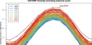 Tháng 8 vừa qua được ghi nhận nóng kỷ lục trong vòng 136 năm