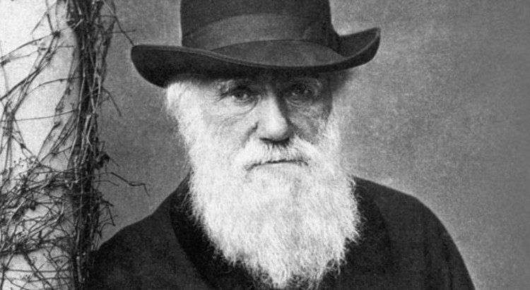 9 lý do chứng minh thuyết tiến hóa của Darwin là sai lầm