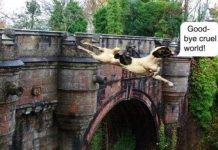 Bạn có dám đi qua 10 cây cầu được cho là bị ma ám này không?