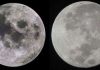 Trái đất có nhiều hơn 1 mặt trăng?