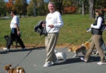 Người đi chậm dễ mất trí nhớ hơn bình thường