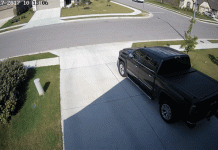 Ma thuật nào đã giúp con chim này trôi lơ lửng mà chẳng cần vỗ cánh?