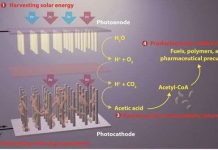 Bước đột phá mới trong quang hợp nhân tạo