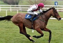 Dự đoán ngựa đua bằng mô hình toán học