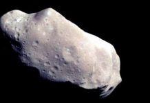 Tiểu hành tinh được đặt tên Wikipedia