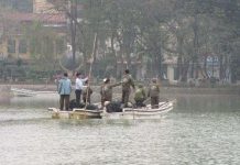 Tìm cụ Rùa thứ 2 tại hồ Gươm