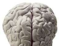 Trí nhớ làm việc