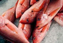 84% lượng cá thế giới bị nhiễm độc thủy ngân