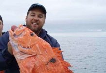 10 loài động vật sống lâu nhất quả đất