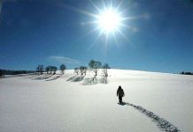 Sự kỳ diệu từ bước đi