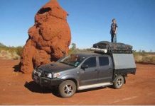 Những “kiệt tác kiến trúc” của loài vật