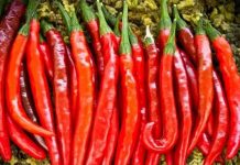 7 loại gia vị khử độc cho cơ thể 7 loại gia vị khử độc cho cơ thể