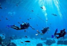 Cáp APG và AAG khác nhau như thế nào?