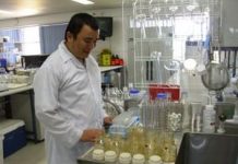 Người VN tìm ra cách nhân dòng vô tính bạch đàn