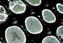 11 sự thật khoa học thú vị