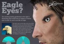 Kỳ diệu khi người có mắt như chim ưng