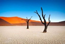 Nghĩa địa "ngoài hành tinh" giữa lòng sa mạc châu Phi