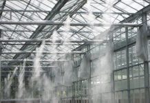 Tuyệt chiêu làm mát chuồng trại trong mùa hè nắng nóng