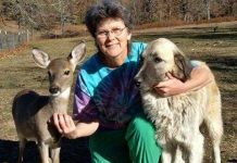 Ngộ nghĩnh các cặp bạn thân khác loài Ngộ nghĩnh các cặp bạn thân khác loài