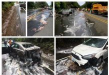 Loài vật từng gây ác mộng nhầy nhụa trên đường phố Mỹ thực chất là gì?