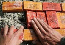 Phát minh "mũi điện tử" dò tìm chất nổ và ma túy