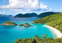 Bảo tồn 5 loại cây đặc hữu có nguy cơ tuyệt chủng