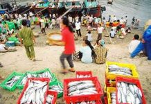 Nước biển Việt Nam bị nhiễm phóng xạ?