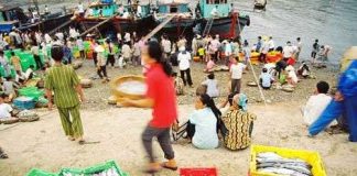 Nước biển Việt Nam bị nhiễm phóng xạ?