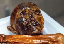 Nguyên nhân mới về cái chết của người băng Otzi