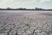 100 triệu người có thể chết trước năm 2030 do biến đổi khí hậu