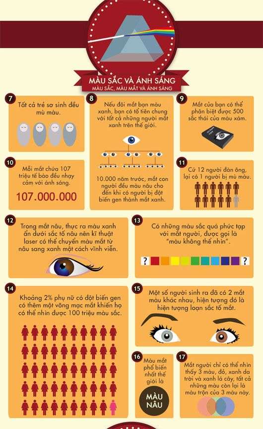 Năm mươi sự thật về đôi mắt