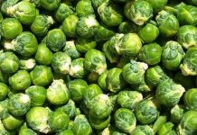 Những loại rau củ trở nên ngon “bất thường” trong tháng 11