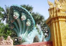 Rắn và tục thờ thủy thần của người Việt