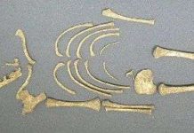 Bí ẩn được tiết lộ từ 35 bộ xương trẻ sơ sinh