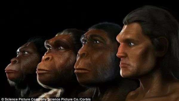 Quá trình mặt người tiến hóa dài 6 triệu năm chỉ trong 1 phút