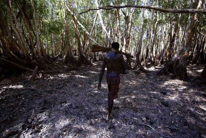 Bộ tộc 60 ngàn năm săn lùng cá sấu trong rừng thẳm